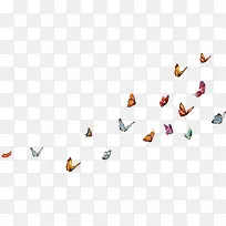 缤纷漂浮彩色蝴蝶-空若网 缤纷漂浮彩色蝴蝶-空若网