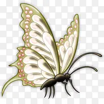 手绘蝴蝶-空若网 手绘蝴蝶-空若网