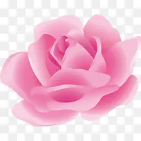 卡通花生油卡通花艺-空若网 卡通花生油卡通花艺-空若网