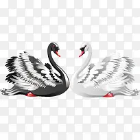 矢量爱情黑白天鹅-空若网 矢量爱情黑白天鹅-空若网