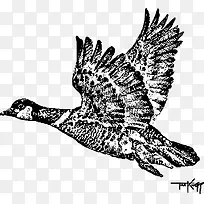 飞行的鹅-空若网 飞行的鹅-空若网