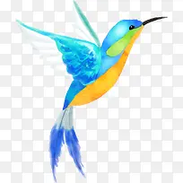 手绘多彩展翅的蜂鸟-空若网 手绘多彩展翅的蜂鸟-空若网