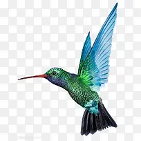 ����ķ�����ɫ���-������