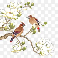 ��ٿ�ͨ��֦��վ������-������