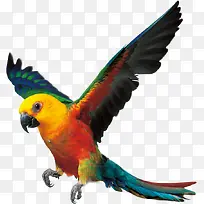 �ɰ����Ķ���-������