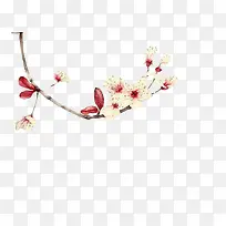 树枝花朵-空若网 树枝花朵-空若网