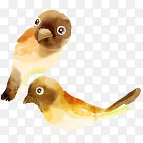 水彩小鸟-空若网 水彩小鸟-空若网