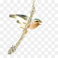 树枝上的小鸟-空若网 树枝上的小鸟-空若网