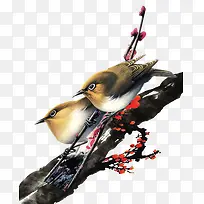 古风树枝小鸟-空若网 古风树枝小鸟-空若网