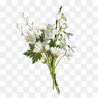 ��Ʒʵ��һ���������ף��-������