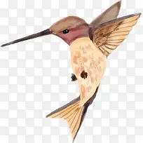 水彩动物黄色蜂鸟-空若网 水彩动物黄色蜂鸟-空若网