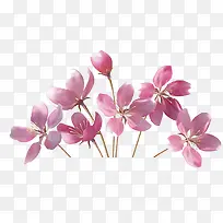 ��ɫ�ɻ����仨���ز�-������