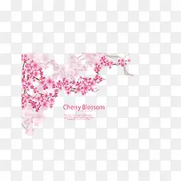 ������ɫӣ��-������