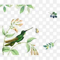 Ãâ¿Ù´ºÌìÊ÷Ö¦ÉÏÌã½ÐµÄÄñ-¿ÕÈôÍø Ãâ¿Ù´ºÌìÊ÷Ö¦ÉÏÌã½ÐµÄÄñ-¿ÕÈôÍø