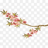 Ψ��������֦�����һ���Ҷ��֦-������