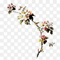 桃花-空若网 桃花-空若网