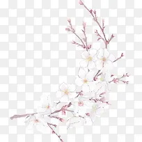 �ֻ�ۺ���֦�һ�-������