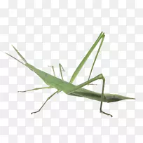 »È³æ-»È³æ-¿ÕÈôÍø »È³æ-»È³æ-¿ÕÈôÍø