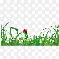 ��ɫ�Ĳݵ�-������