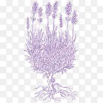 ����޹�²�-������