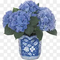 花卉线描矢量花卉素材-空若网 花卉线描矢量花卉素材-空若网