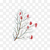 º®À䶬¼¾×ØÉ«Ê÷Ö¦-¿ÕÈôÍø º®À䶬¼¾×ØÉ«Ê÷Ö¦-¿ÕÈôÍø