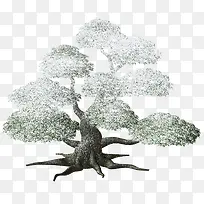 ��-������