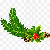 绿色冬青松果树枝-空若网 绿色冬青松果树枝-空若网