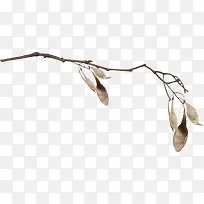 ����ֲ����֦-������