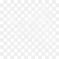 冬树-空若网 冬树-空若网