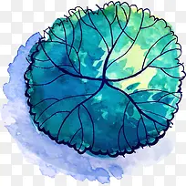 ���տ�ͨС����װ�β廭������-������