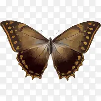 רɫµÄºûµû-¿ÕÈôÍø רɫµÄºûµû-¿ÕÈôÍø