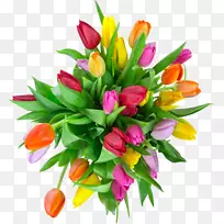 郁金香摄影花束郁金香-空若网 郁金香摄影花束郁金香-空若网