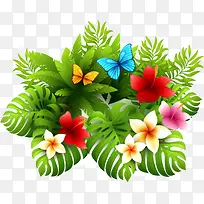 ������»���-������