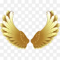 一对金色的翅膀手绘图-空若网 一对金色的翅膀手绘图-空若网