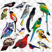 彩色画眉鸟-空若网 彩色画眉鸟-空若网