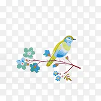 花和小鸟-空若网 花和小鸟-空若网