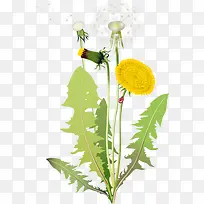 �ֻ濨ͨ�ѹ�Ӣ-������