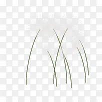 白色的蒲公英矢量素材-空若网 白色的蒲公英矢量素材-空若网