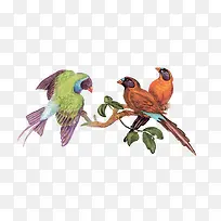 树枝上的小鸟-空若网 树枝上的小鸟-空若网