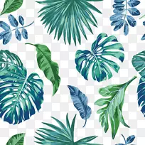 ˮ�ʻ�Ҷ��ͼˮ�ʻ���Ҷ-������