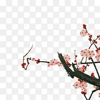 桃花水彩画-空若网 桃花水彩画-空若网