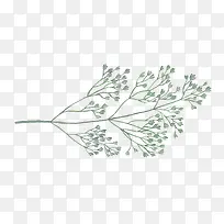手绘的树枝-空若网 手绘的树枝-空若网