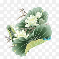 莲花素材图片-空若网 莲花素材图片-空若网