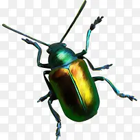 ÊÖ»æ½ð¹ê×Ó-¿ÕÈôÍø ÊÖ»æ½ð¹ê×Ó-¿ÕÈôÍø