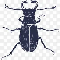 手绘甲虫-空若网 手绘甲虫-空若网