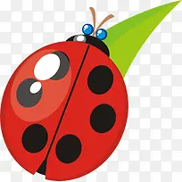 ��ͨ-������