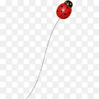 昆虫甲虫-空若网 昆虫甲虫-空若网