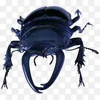 �׳涯��-������