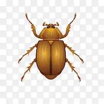 甲虫矢量素材-空若网 甲虫矢量素材-空若网